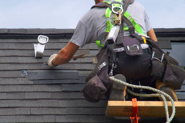 Best Roof Repair Services  in Hoback, WY