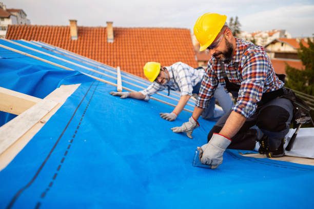 Best Tile Roofing Contractor  in Hoback, WY