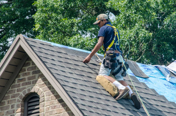 Best Gutter Installation and Roofing  in Hoback, WY